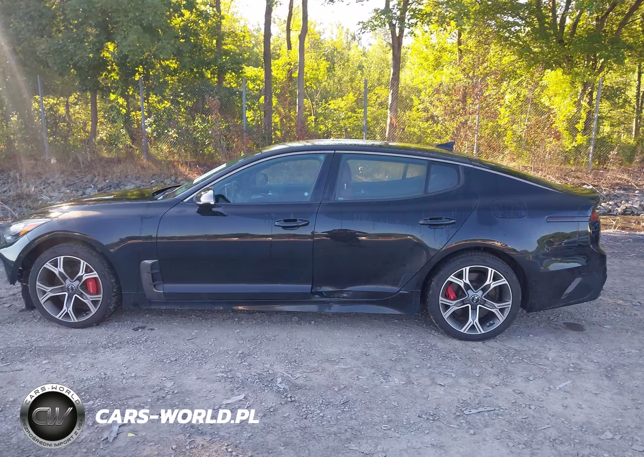 2019 Kia Stinger Gt VIN:KNAE35LC5K6056724 - 14