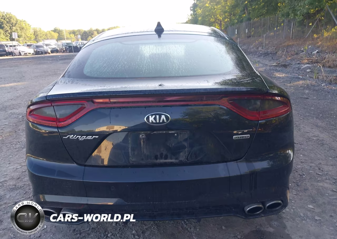 2019 Kia Stinger Gt VIN:KNAE35LC5K6056724 - 16