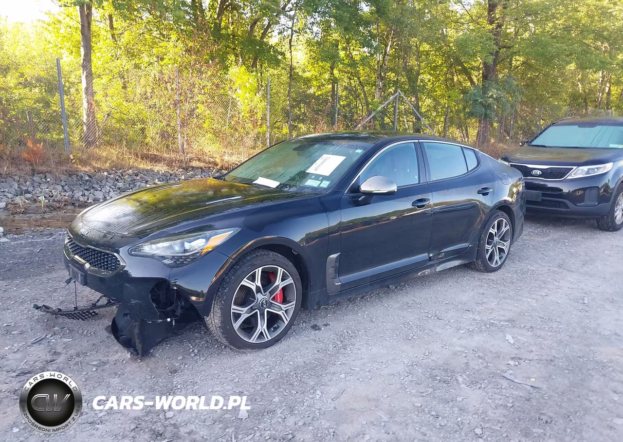 2019 Kia Stinger Gt VIN:KNAE35LC5K6056724 - 2