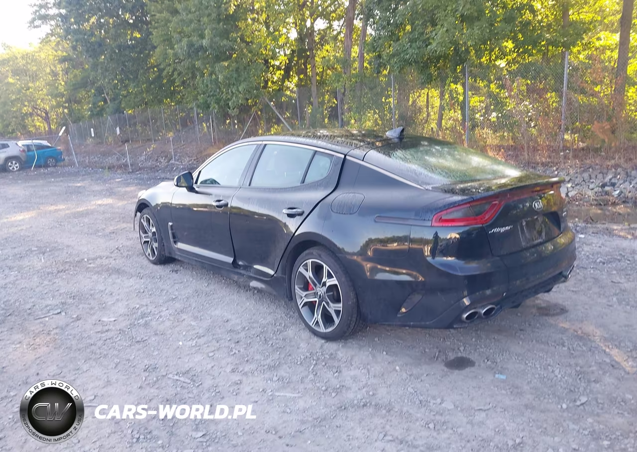 2019 Kia Stinger Gt VIN:KNAE35LC5K6056724 - 3