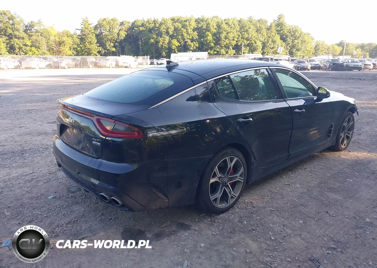 2019 Kia Stinger Gt VIN:KNAE35LC5K6056724 - 4