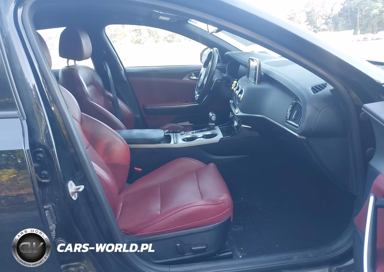 2019 Kia Stinger Gt VIN:KNAE35LC5K6056724 - 5