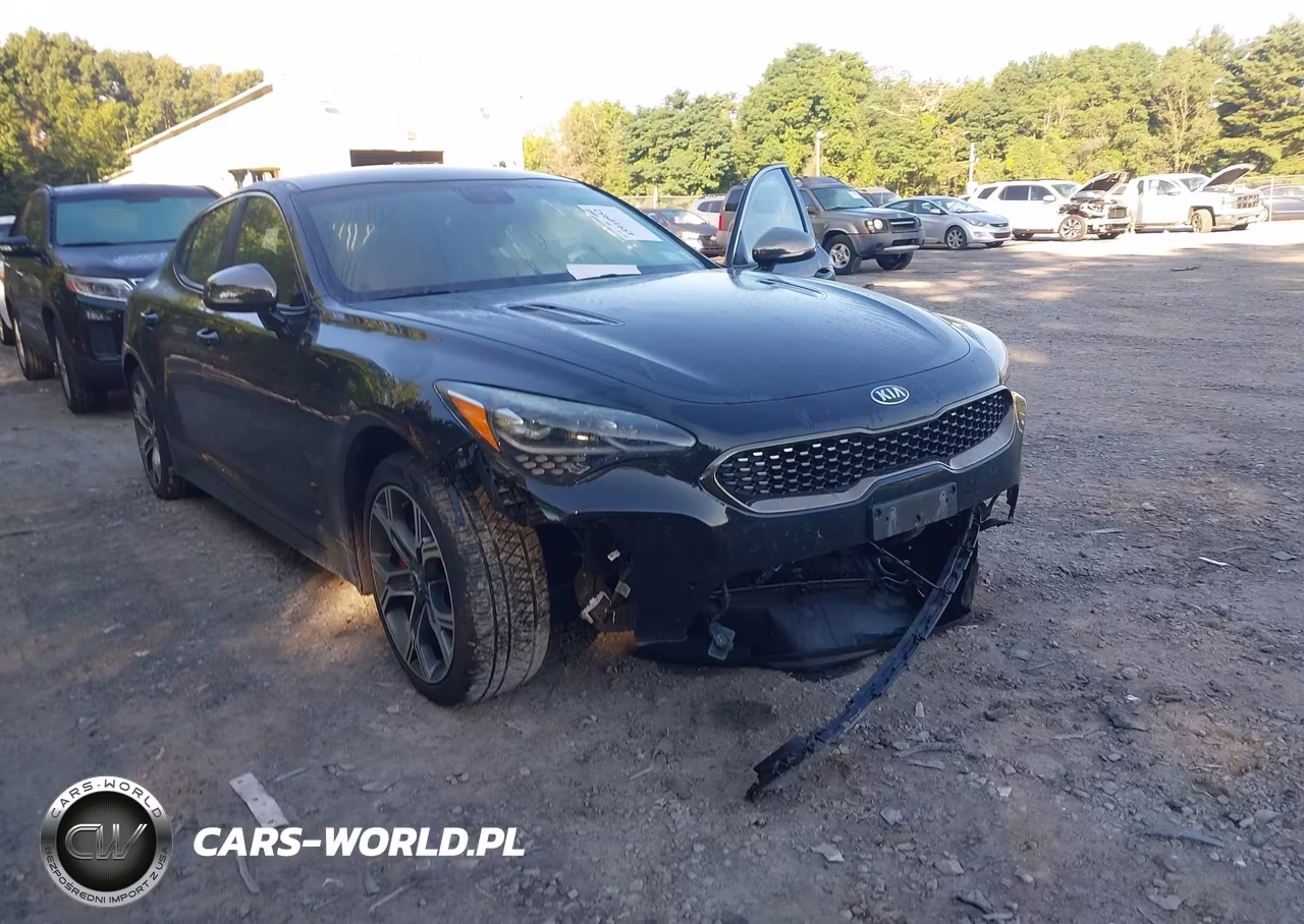 2019 Kia Stinger Gt VIN:KNAE35LC5K6056724 - 6