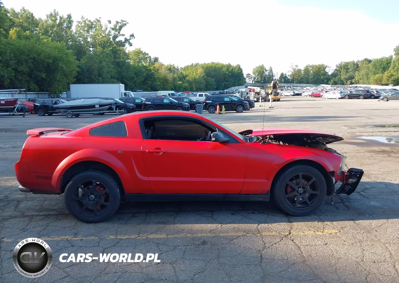 2006 Ford Mustang V6 VIN:1ZVFT80N365266228 - 13
