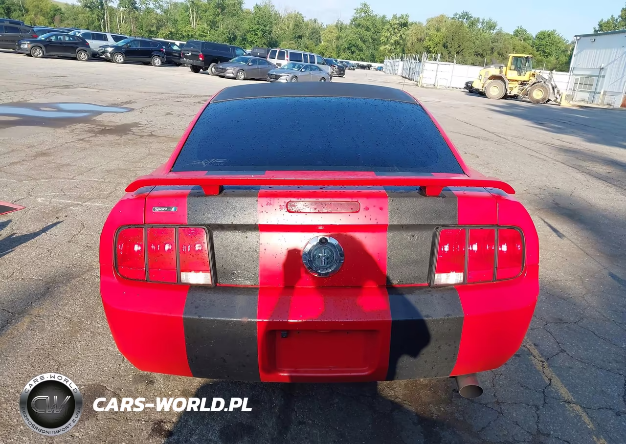 2006 Ford Mustang V6 VIN:1ZVFT80N365266228 - 16