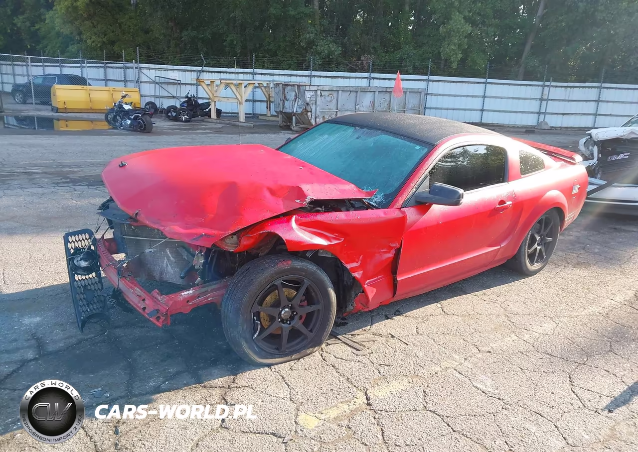 2006 Ford Mustang V6 VIN:1ZVFT80N365266228 - 2
