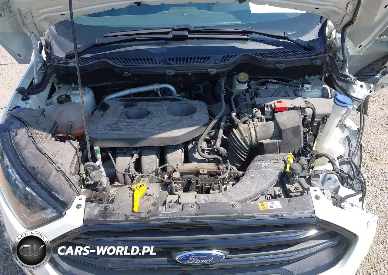 2020 Ford Ecosport Ses VIN:MAJ6S3JL1LC312660 - 10