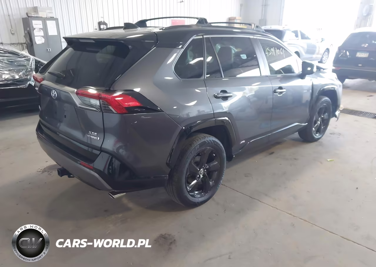 2020 Toyota Rav4 Hybrid Xse VIN:JTMEWRFV6LJ045454 - 4