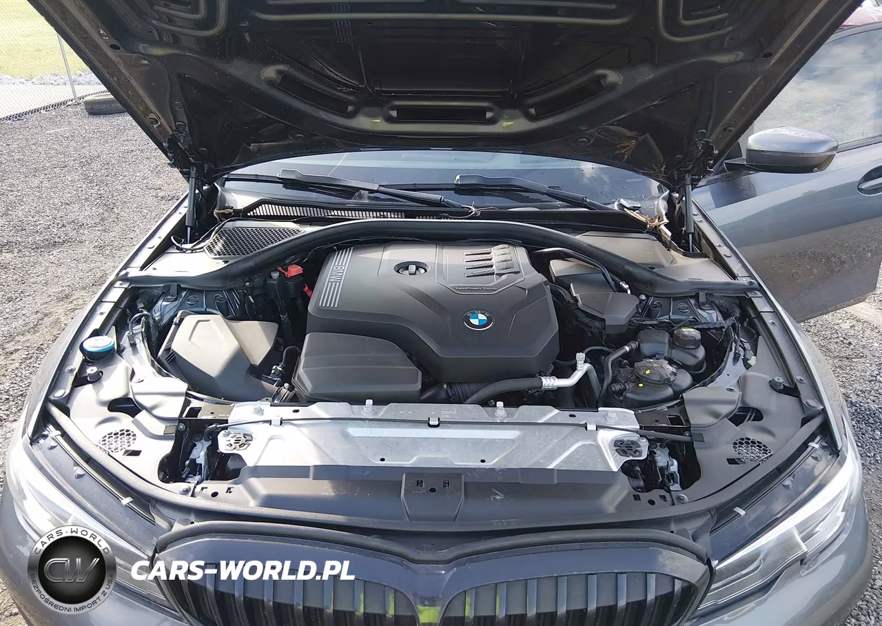 2019 BMW 330I VIN:3MW5R1J56K8B02047 - 10