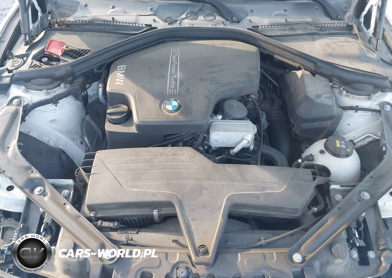 2016 BMW 428I VIN:WBA3V7C53G5A24918 - 10
