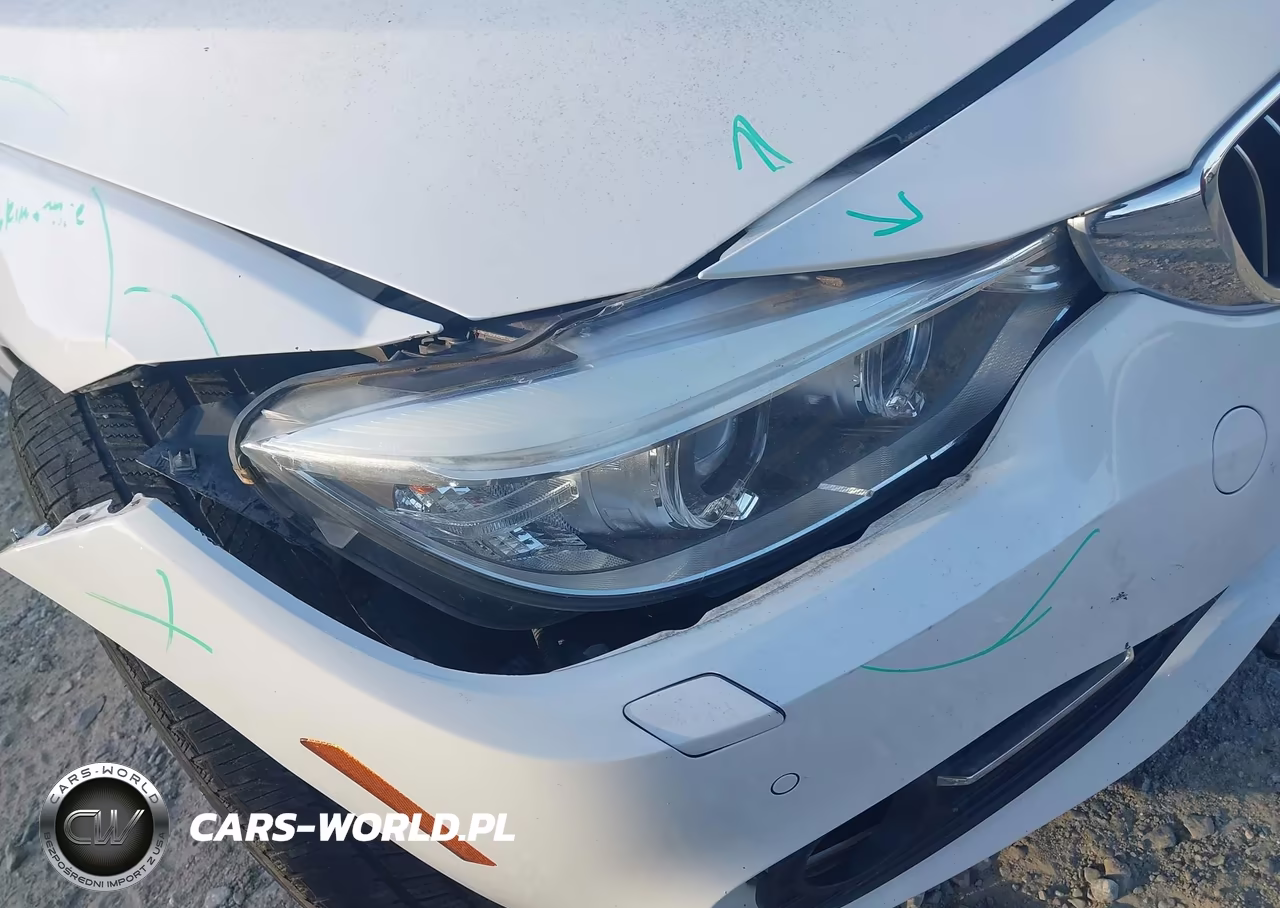 2016 BMW 428I VIN:WBA3V7C53G5A24918 - 18