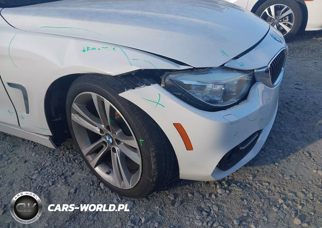 2016 BMW 428I VIN:WBA3V7C53G5A24918 - 6