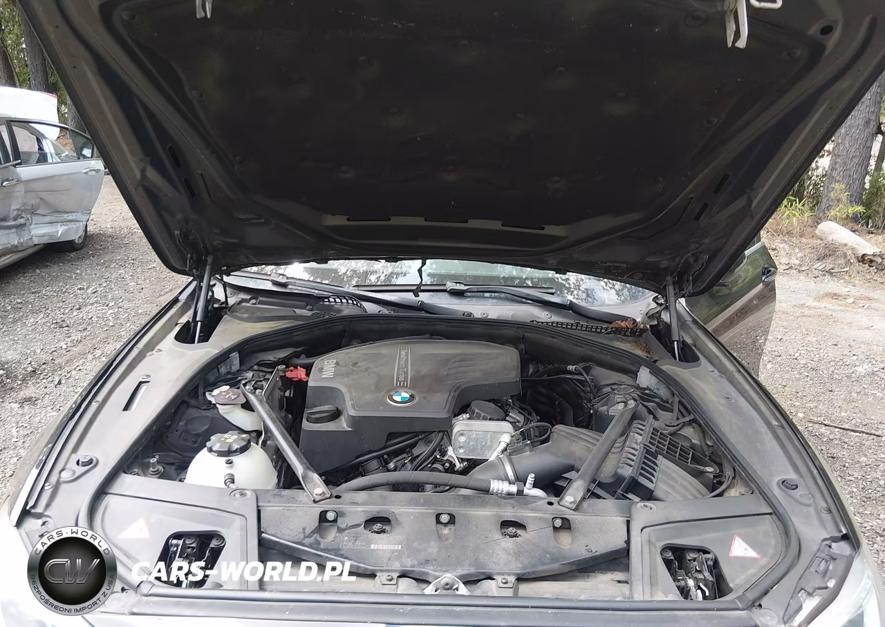 2014 BMW 528I VIN:WBA5A5C50ED502978 - 10