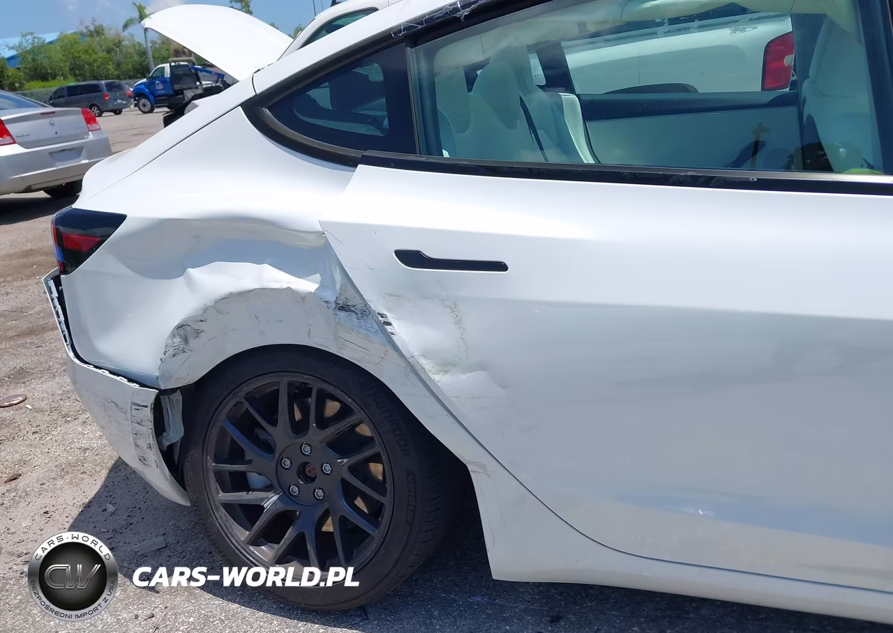 2025 Tesla Model 3 Long Range Rear-Wheel Drive-Standard Rear-Wheel Drive VIN:5YJ3E1EA1SF020848 - 6