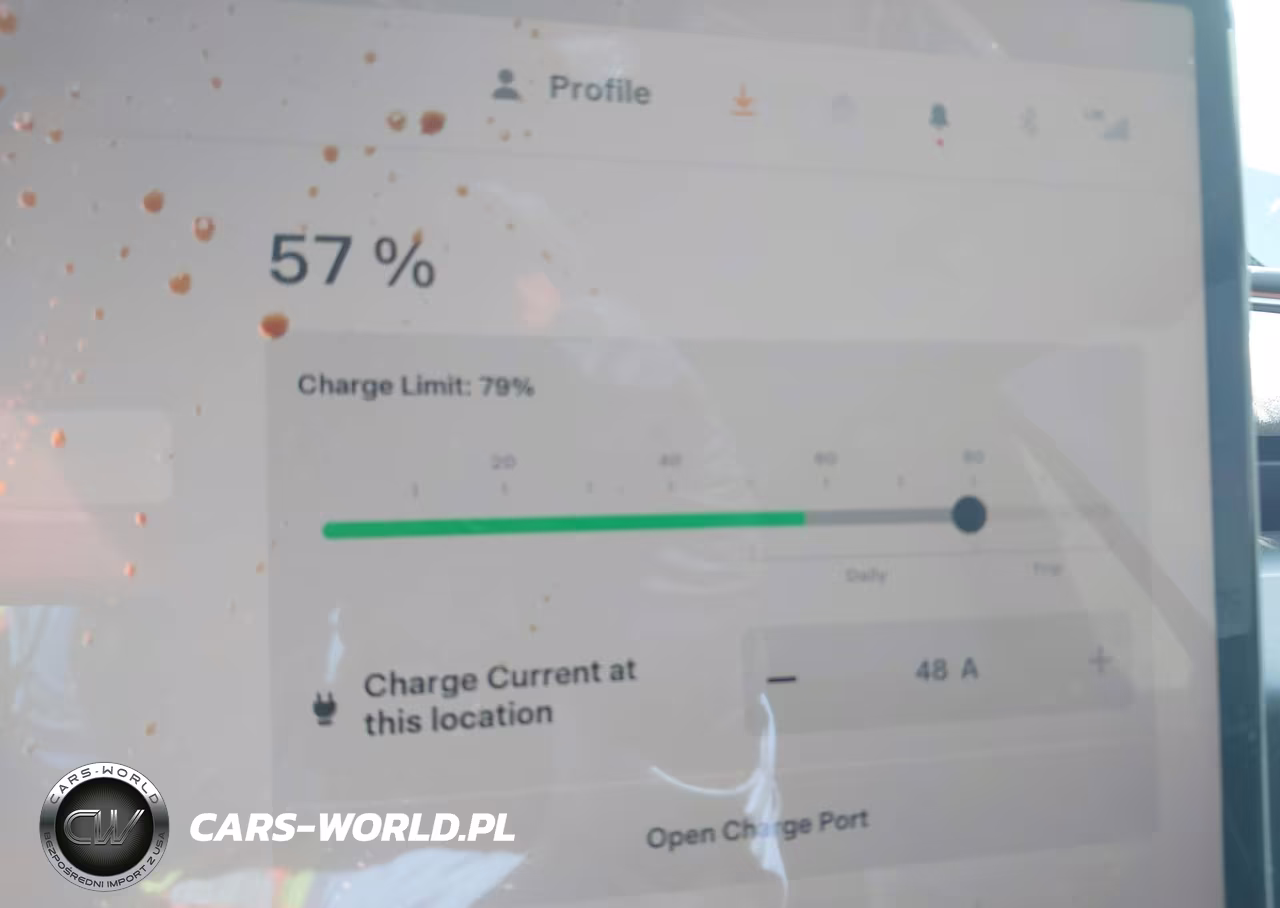 2025 Tesla Model 3 VIN:5YJ3E1EA0SF981117 - 16