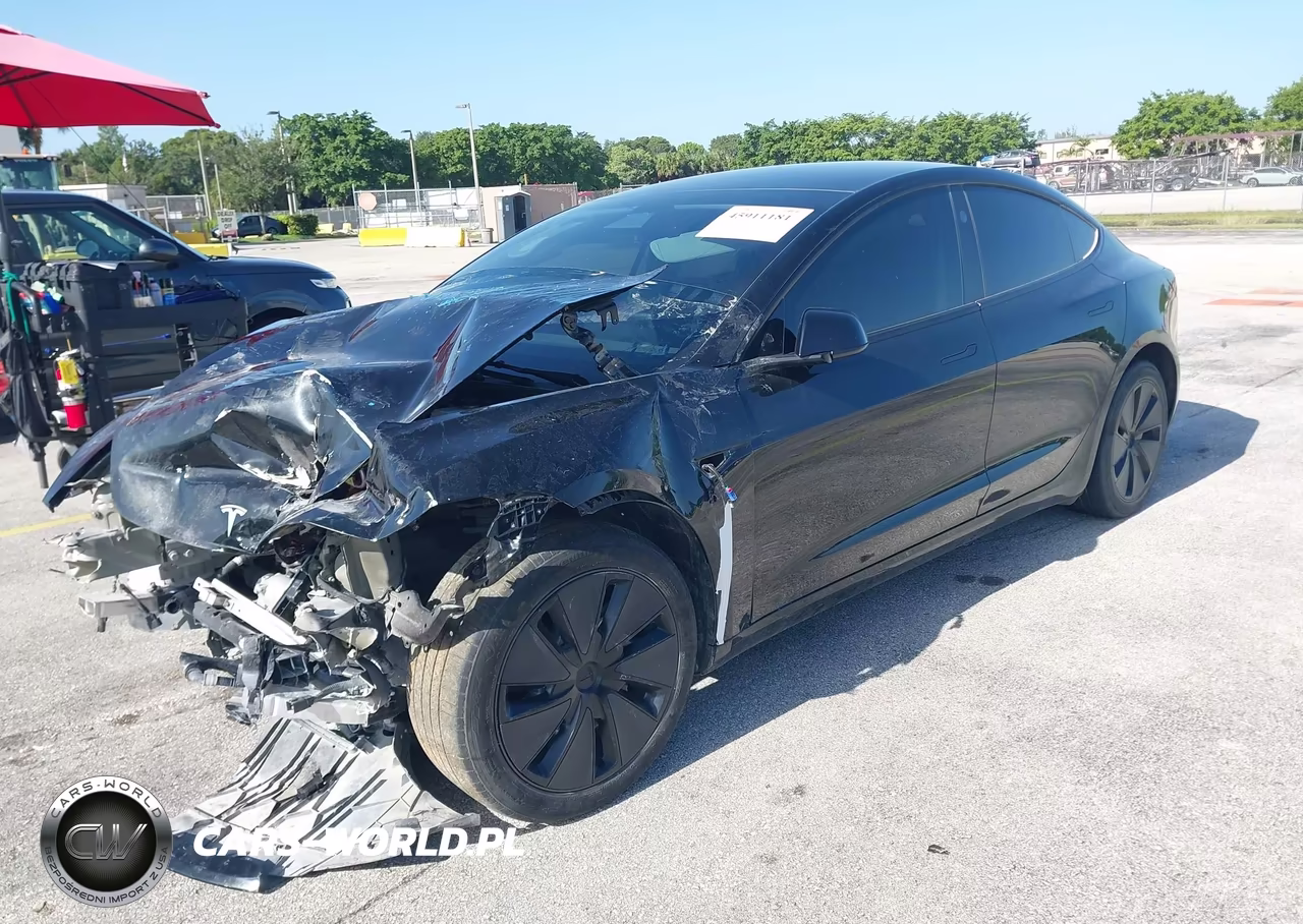 2025 Tesla Model 3 VIN:5YJ3E1EA0SF981117 - 2