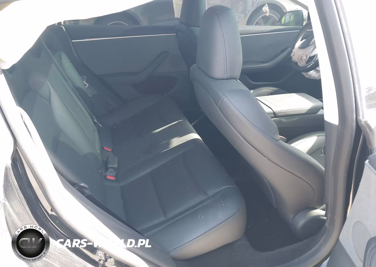 2025 Tesla Model 3 VIN:5YJ3E1EA0SF981117 - 8
