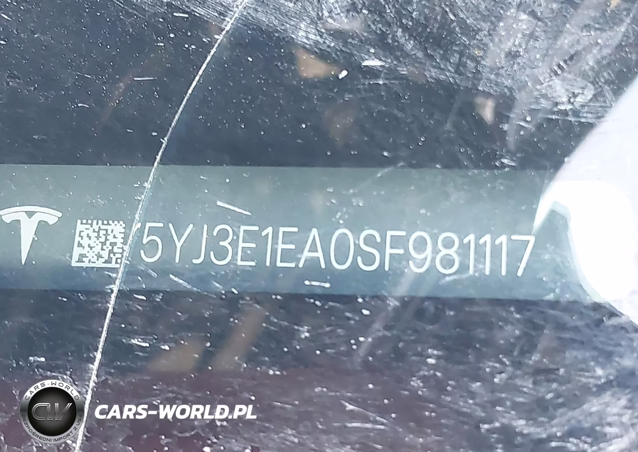 2025 Tesla Model 3 VIN:5YJ3E1EA0SF981117 - 9