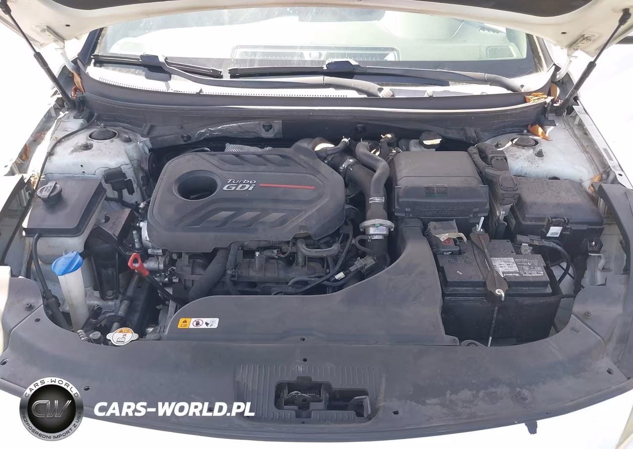 2017 Hyundai Sonata Sport 2.0T VIN:5NPE34AB2HH549802 - 10