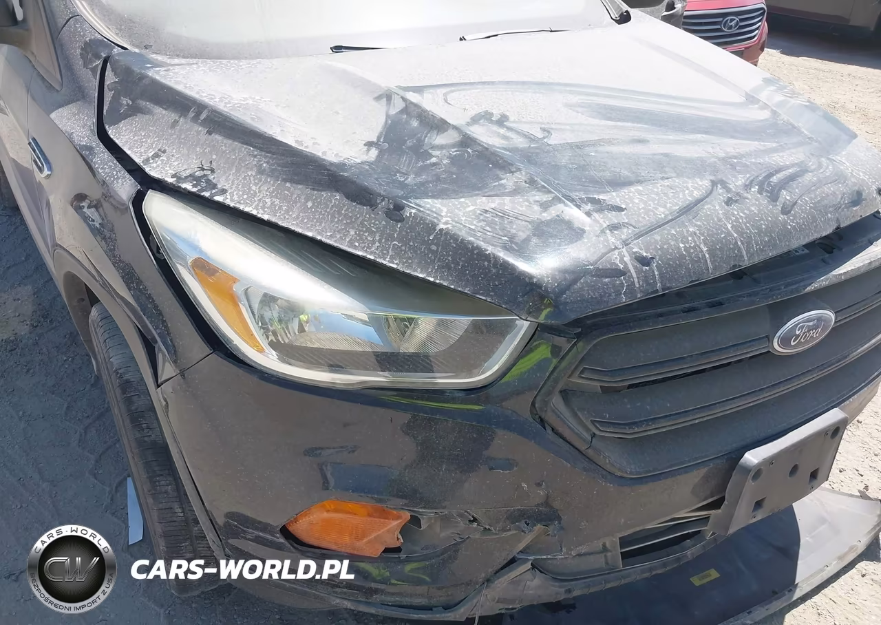 2017 Ford Escape S VIN:1FMCU0F72HUB79244 - 6