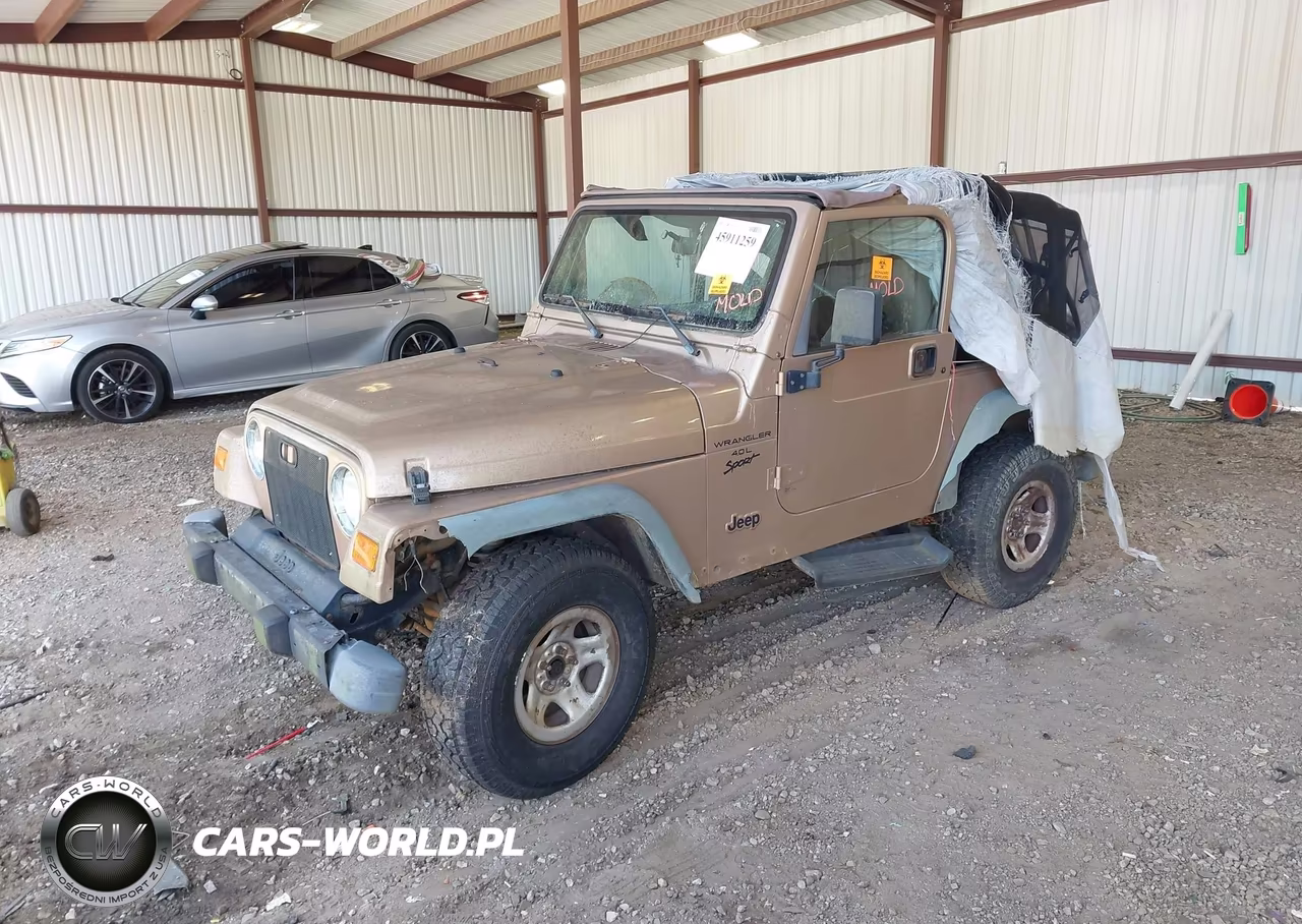 2000 Jeep Wrangler Sport VIN:1J4FA49S2YP769180 - 2