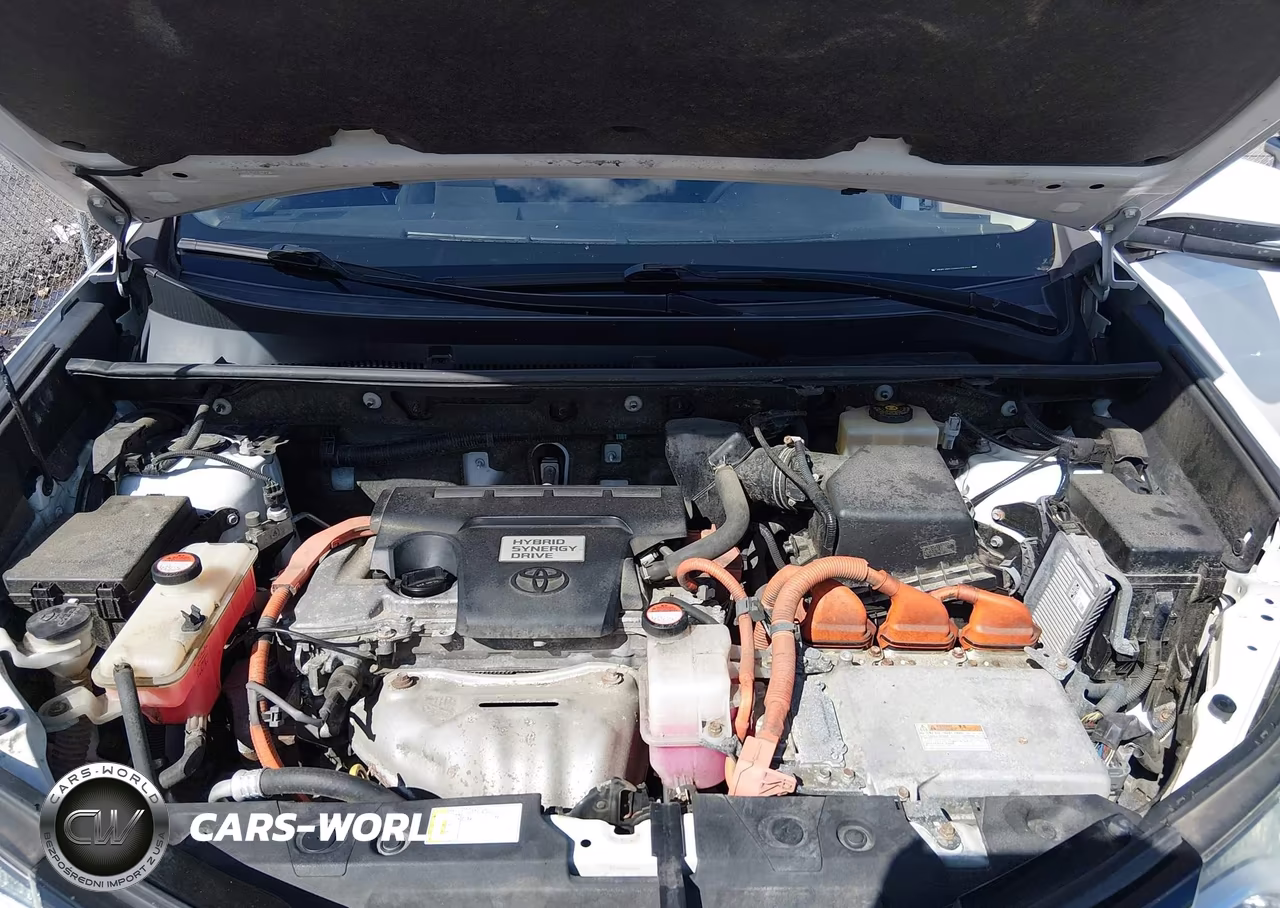 2016 Toyota Rav4 Hybrid Xle VIN:JTMRJREVXGD033457 - 10