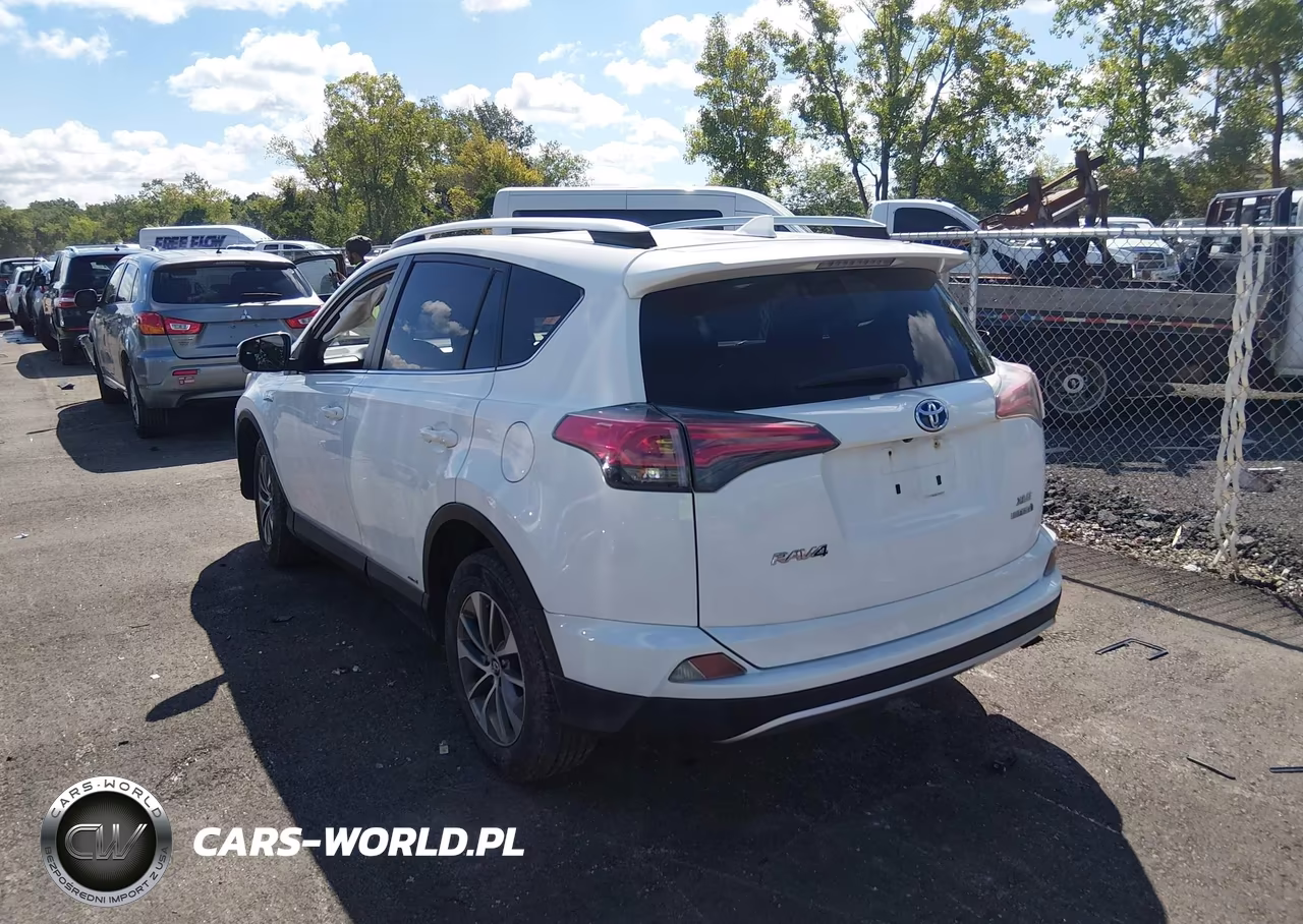 2016 Toyota Rav4 Hybrid Xle VIN:JTMRJREVXGD033457 - 3