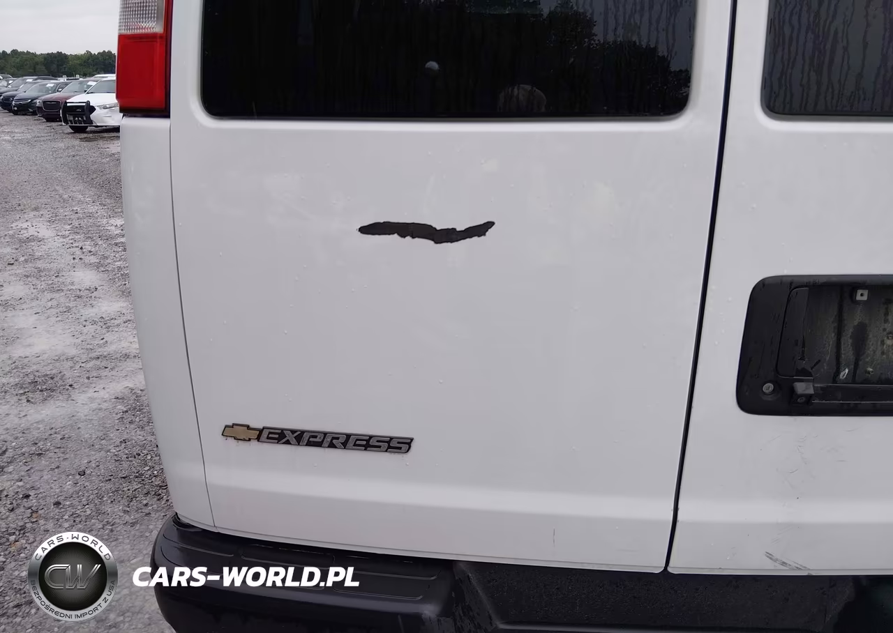 2020 Chevrolet Express Passenger Rwd 2500 Regular Wheelbase Ls VIN:1GAWGEFPXL1256449 - 12