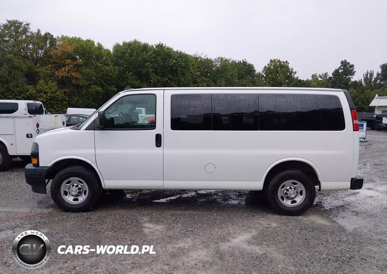 2020 Chevrolet Express Passenger Rwd 2500 Regular Wheelbase Ls VIN:1GAWGEFPXL1256449 - 17
