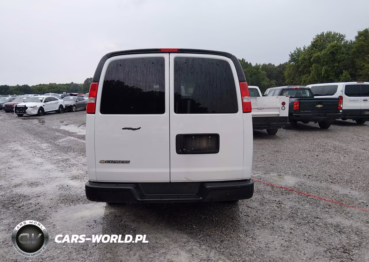 2020 Chevrolet Express Passenger Rwd 2500 Regular Wheelbase Ls VIN:1GAWGEFPXL1256449 - 19