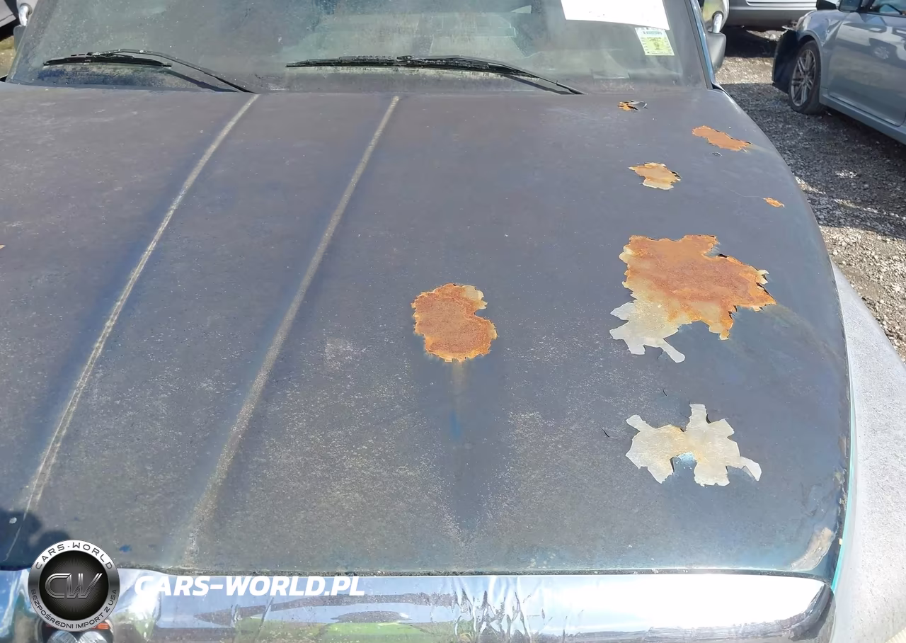 1995 Dodge Ram 1500 VIN:3B7HC13Z7SM167210 - 13