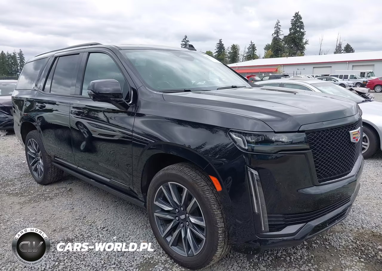 2022 Cadillac Escalade 4Wd Sport Platinum VIN:1GYS4GKL5NR359063 - 1