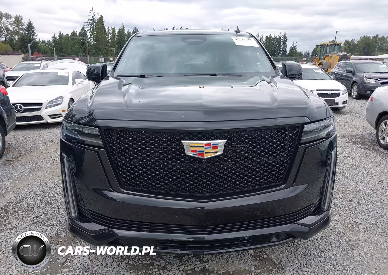 2022 Cadillac Escalade 4Wd Sport Platinum VIN:1GYS4GKL5NR359063 - 12