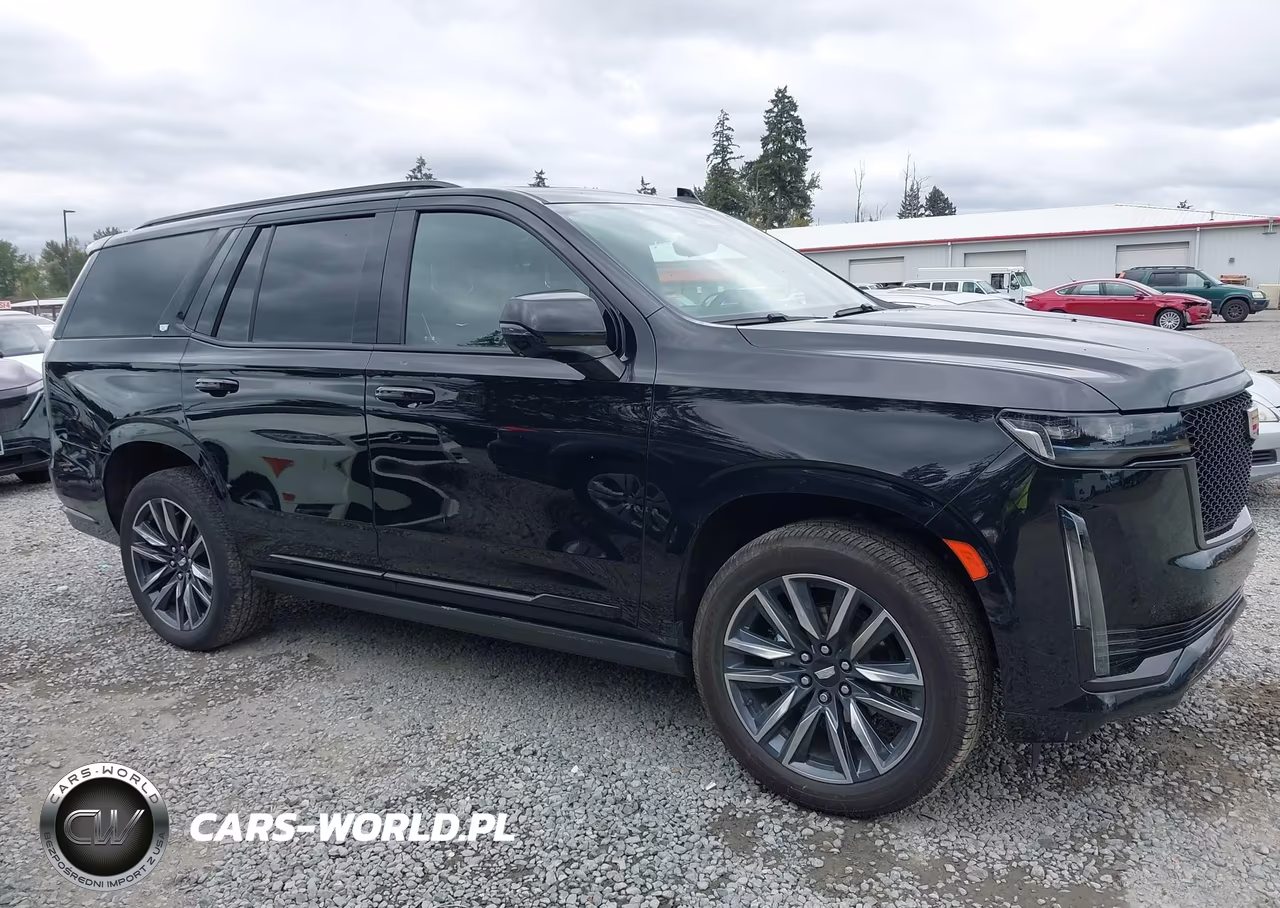 2022 Cadillac Escalade 4Wd Sport Platinum VIN:1GYS4GKL5NR359063 - 13