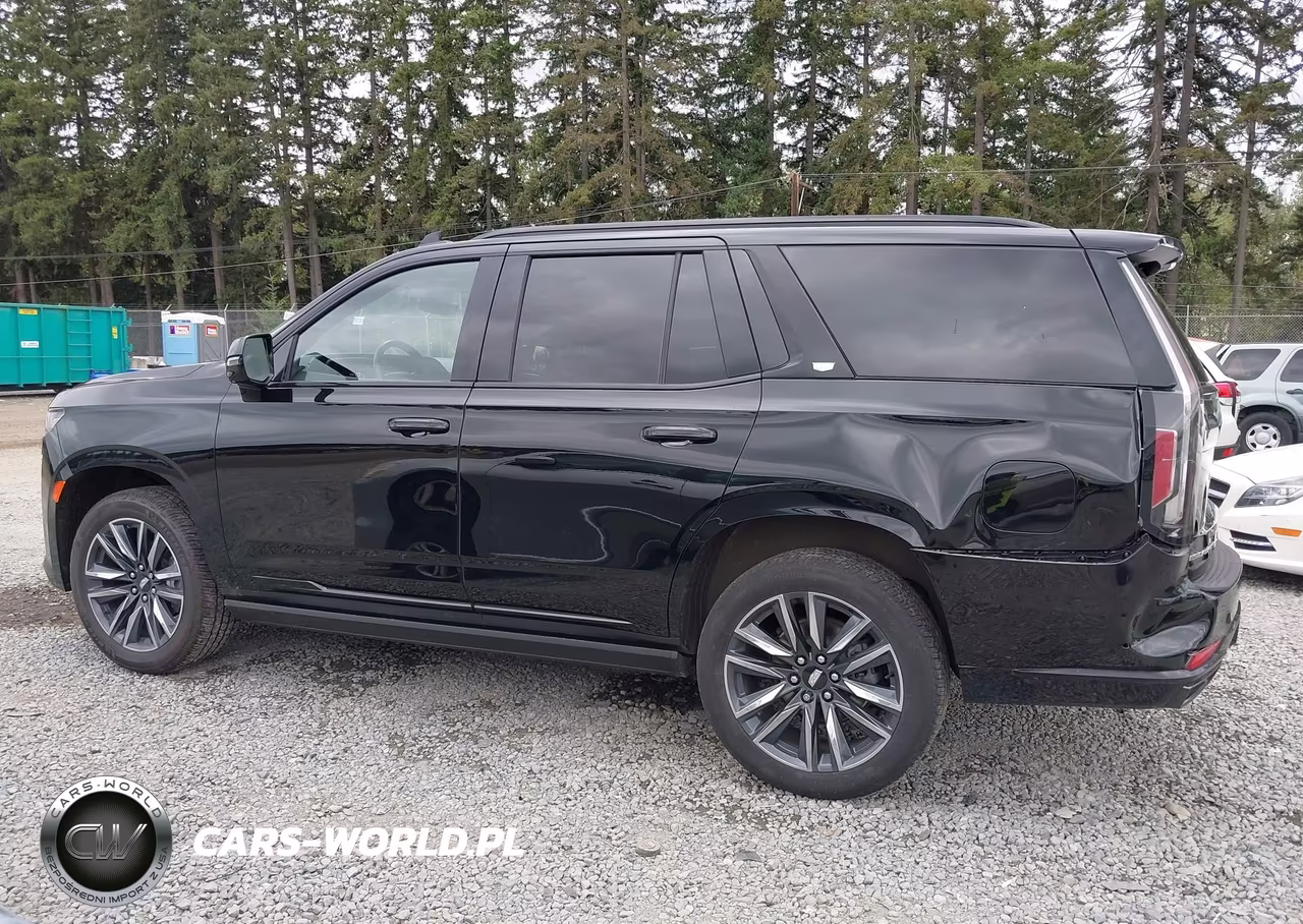 2022 Cadillac Escalade 4Wd Sport Platinum VIN:1GYS4GKL5NR359063 - 14