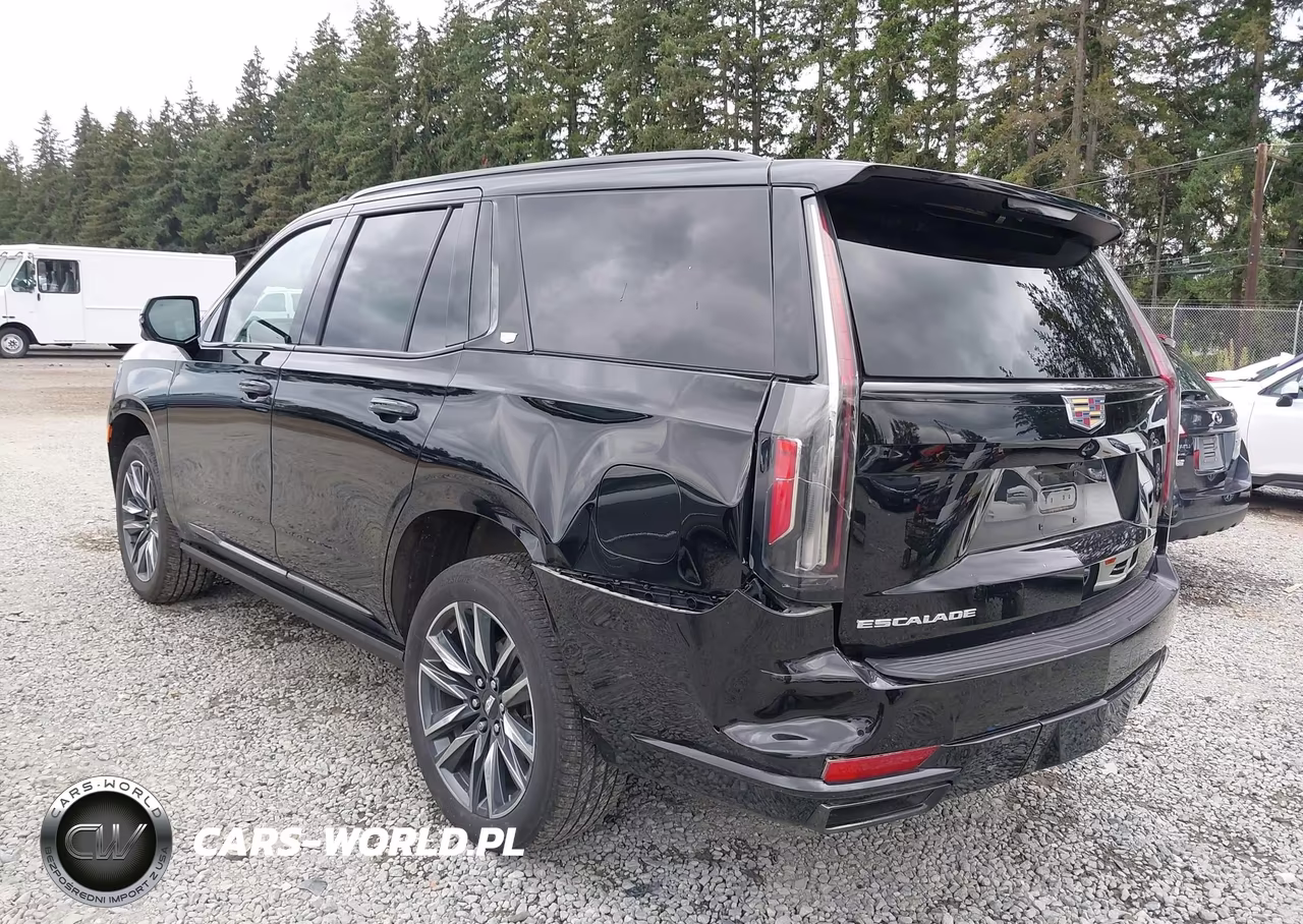 2022 Cadillac Escalade 4Wd Sport Platinum VIN:1GYS4GKL5NR359063 - 3