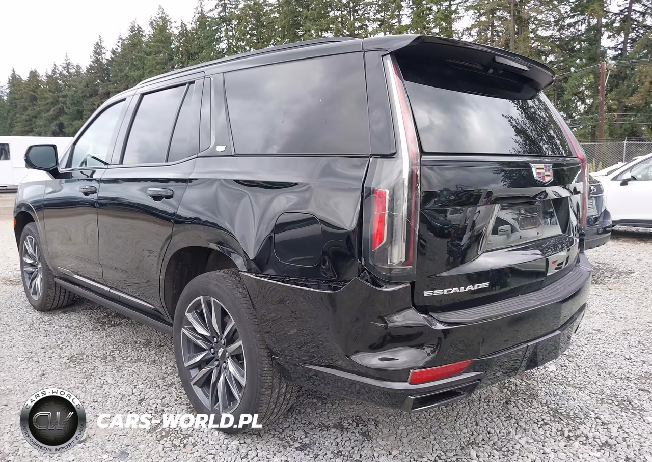 2022 Cadillac Escalade 4Wd Sport Platinum VIN:1GYS4GKL5NR359063 - 6
