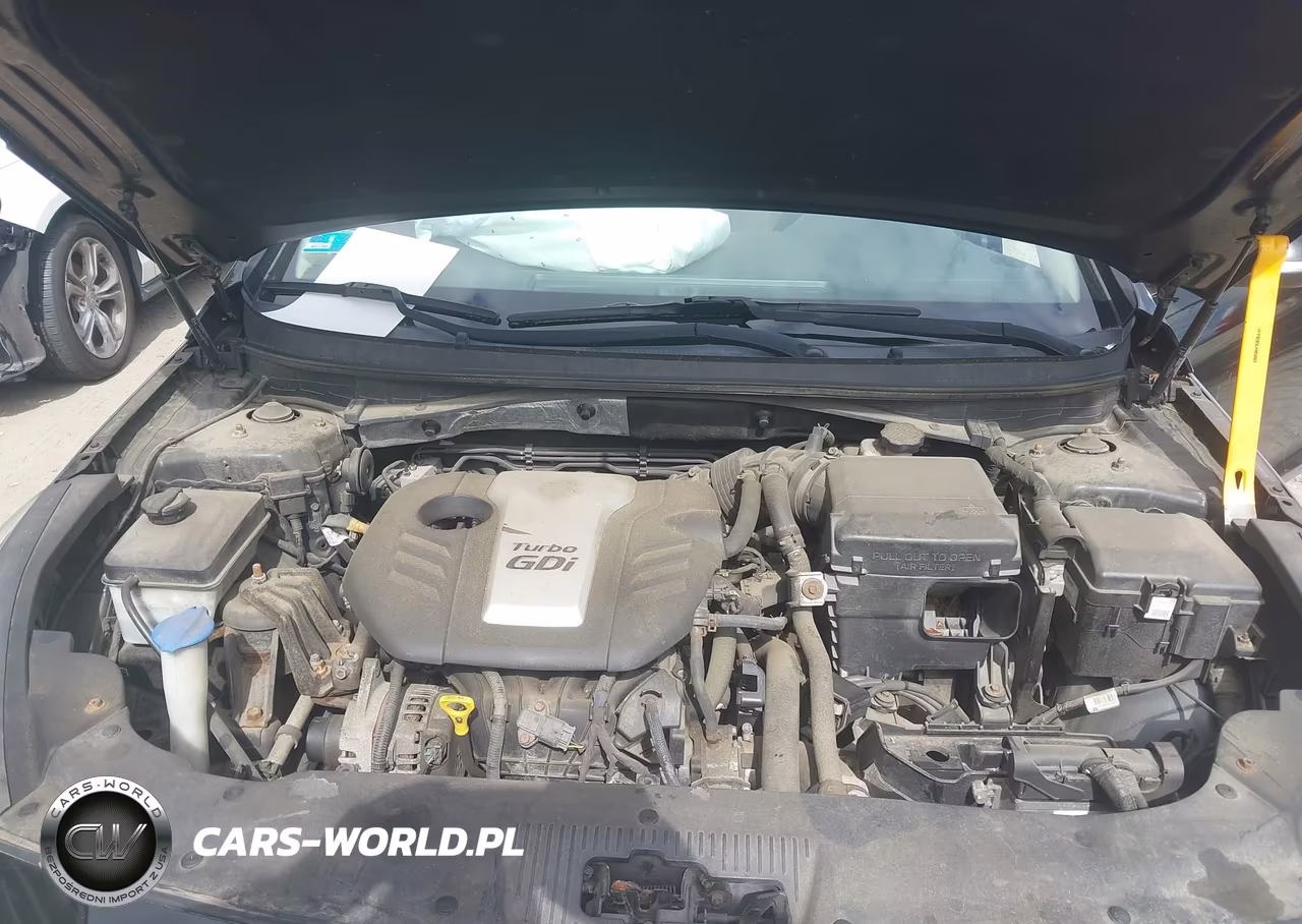 2016 Hyundai Sonata Eco VIN:5NPE24AA3GH423103 - 10