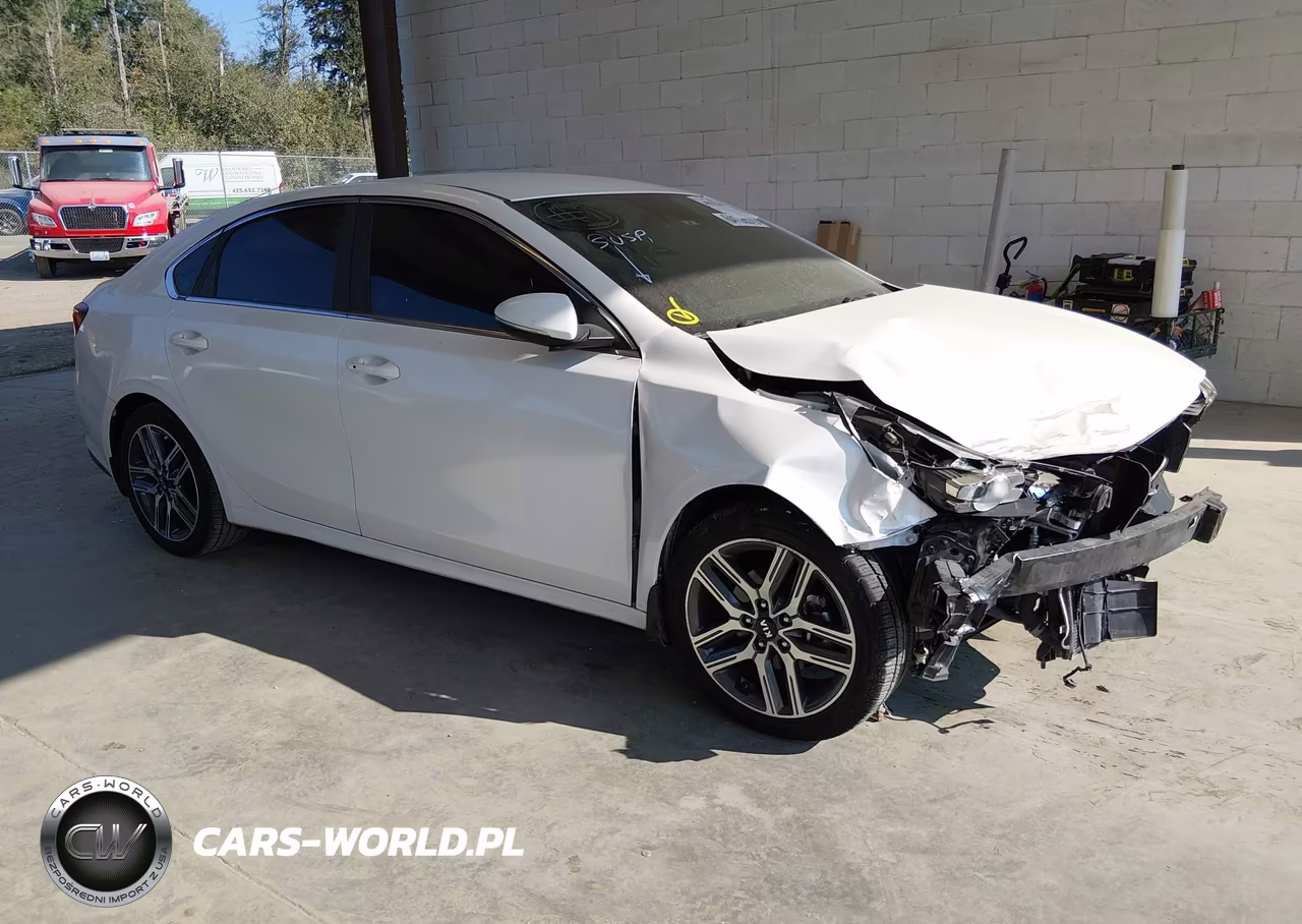 2019 Kia Forte Ex – zdjęcie 1 z 17