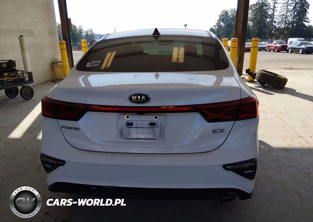 2019 Kia Forte Ex VIN:3KPF54ADXKE037619 - 17