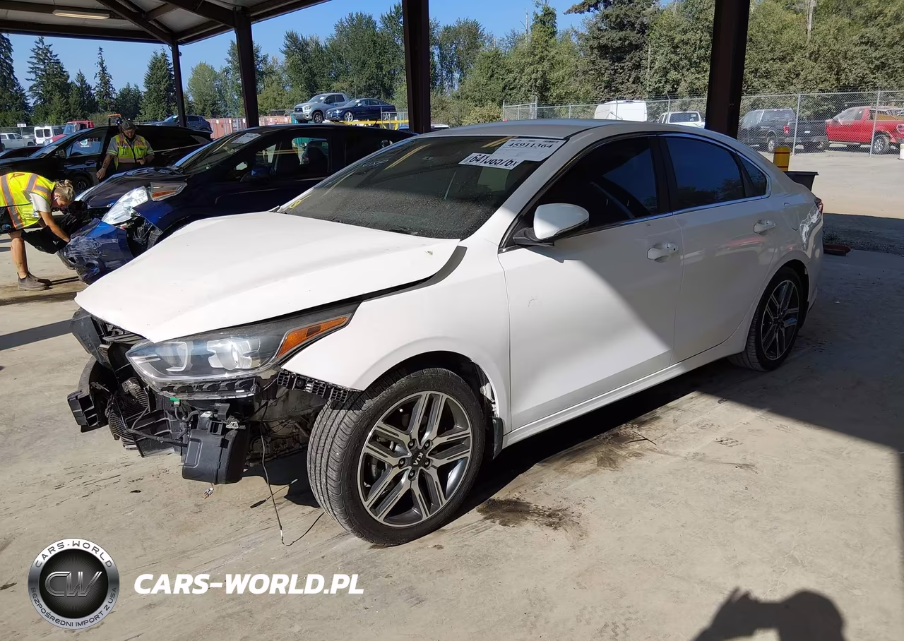 2019 Kia Forte Ex VIN:3KPF54ADXKE037619 - 2