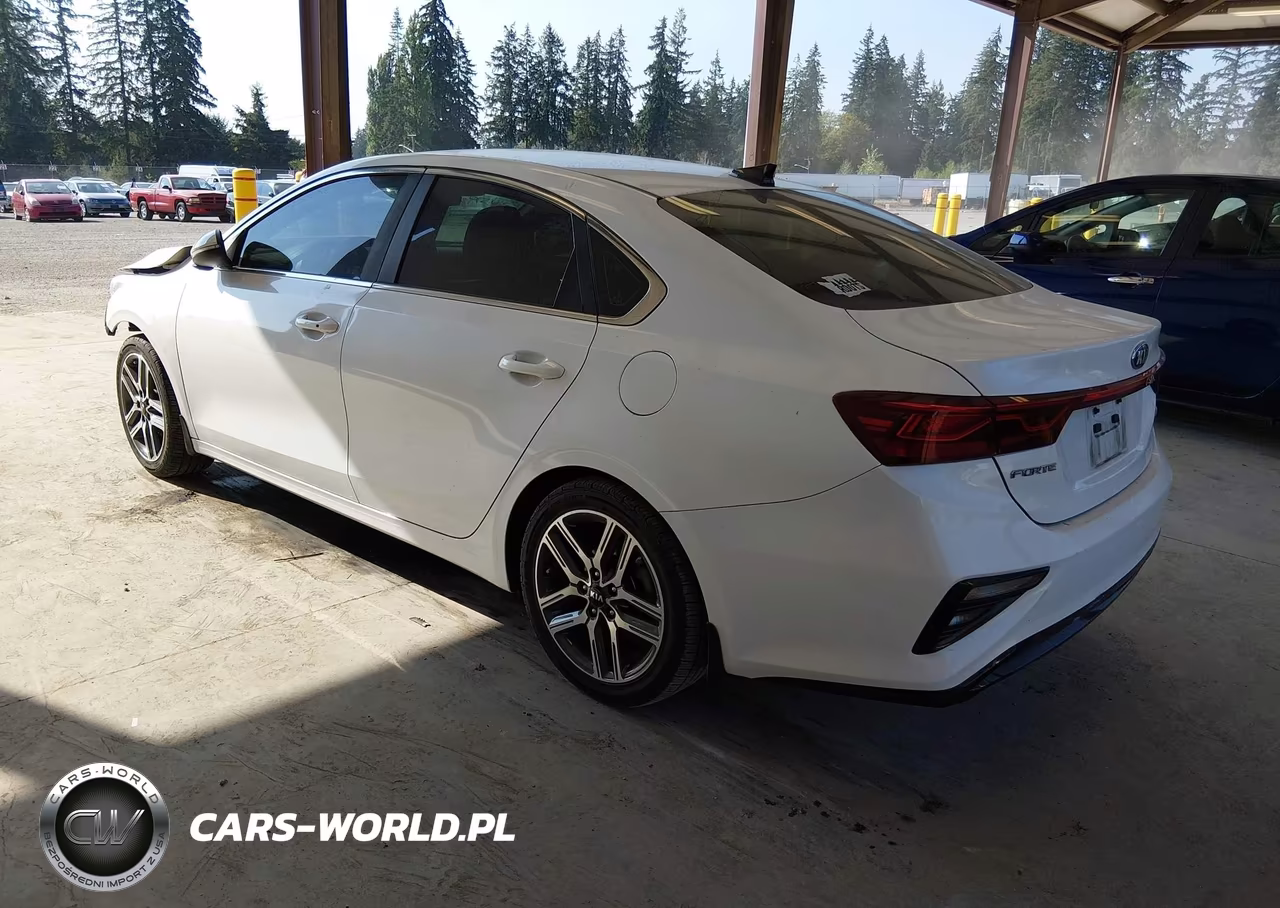 2019 Kia Forte Ex VIN:3KPF54ADXKE037619 - 3