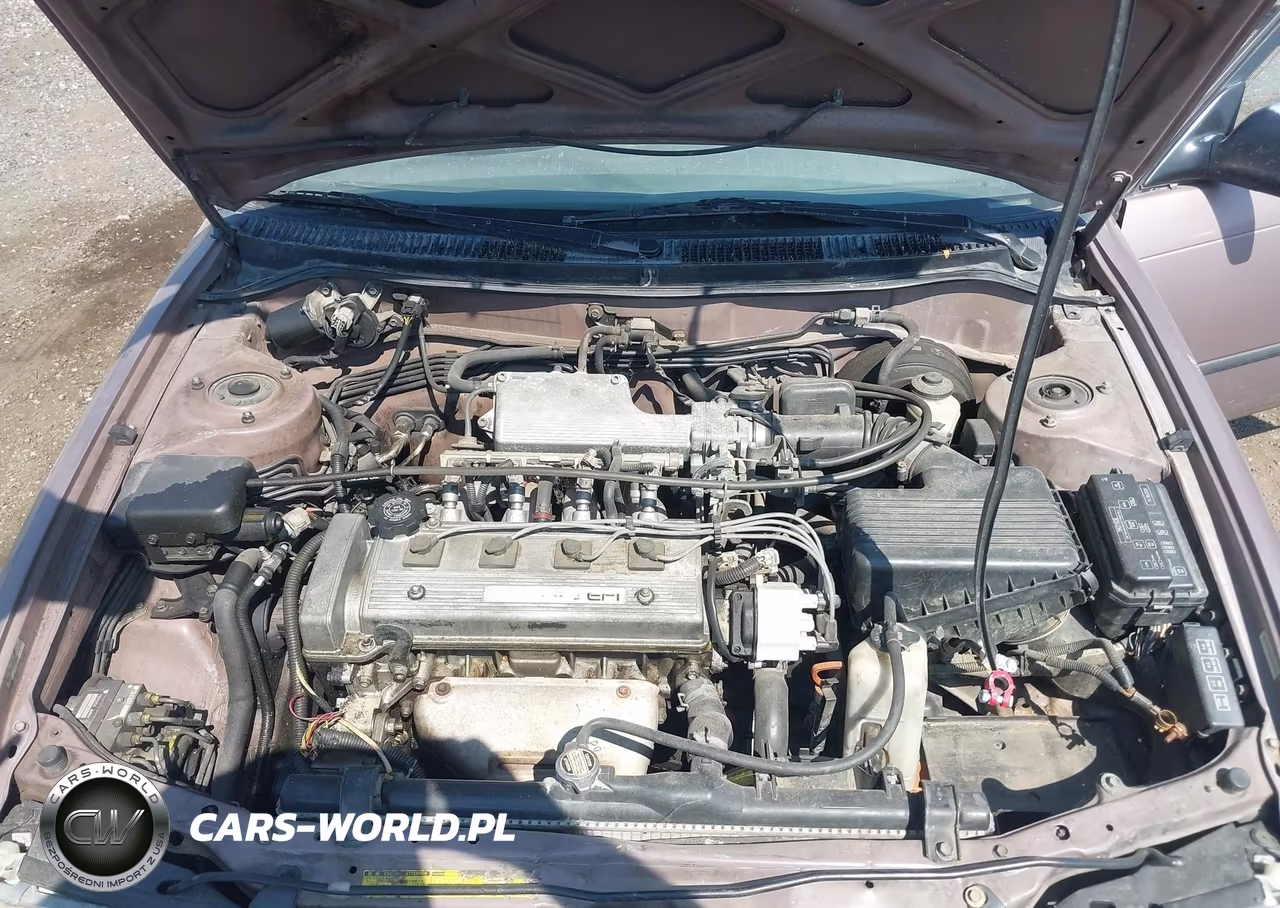 1993 Toyota Corolla Le-Dx VIN:1NXAE09E0PZ112770 - 10