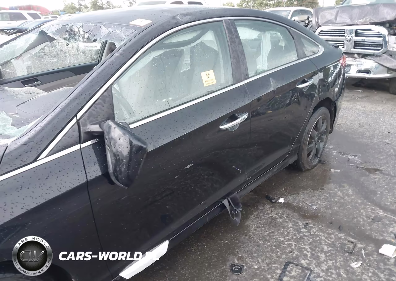 2018 Hyundai Sonata Sel VIN:5NPE34AFXJH635349 - 17