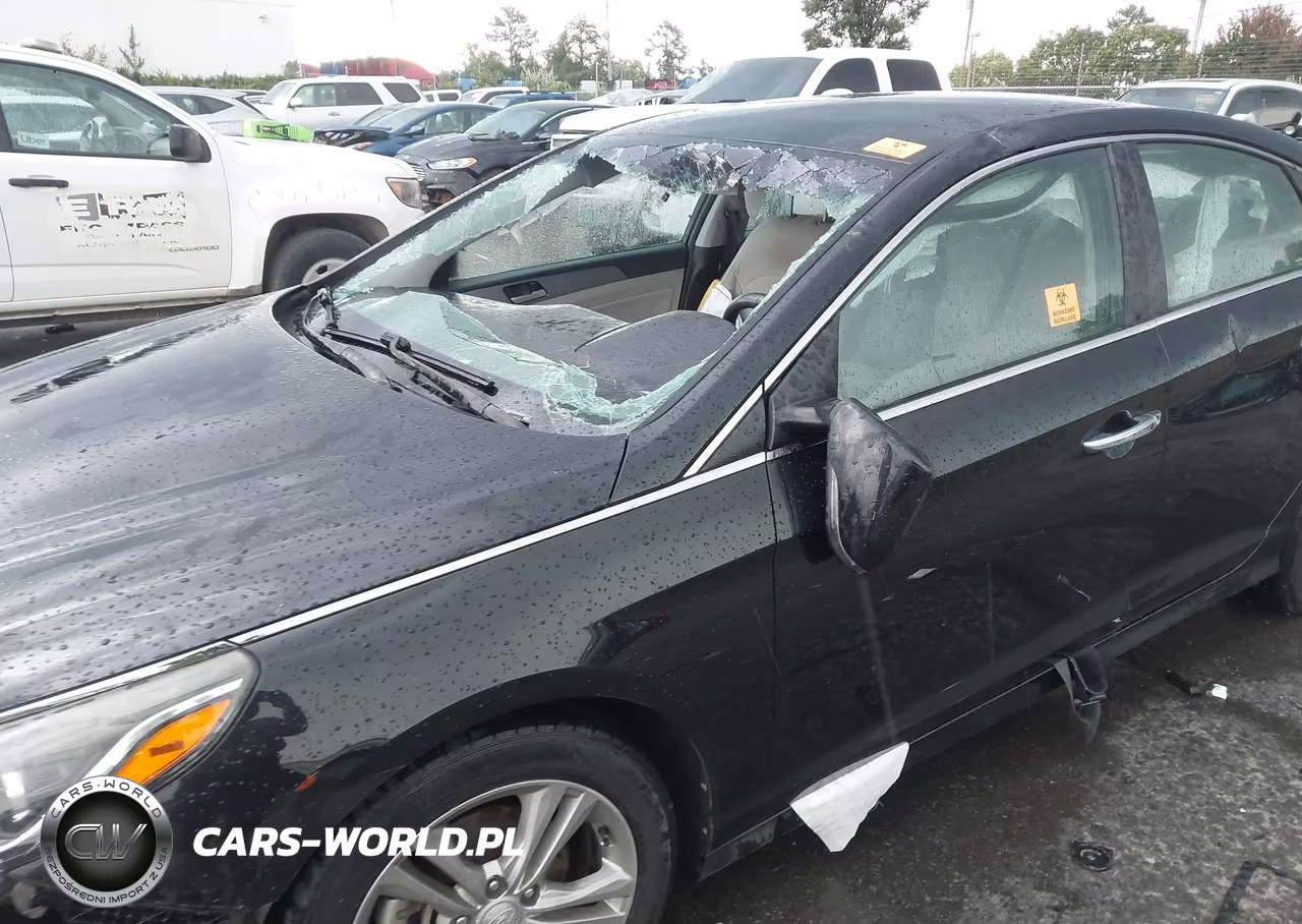 2018 Hyundai Sonata Sel VIN:5NPE34AFXJH635349 - 6