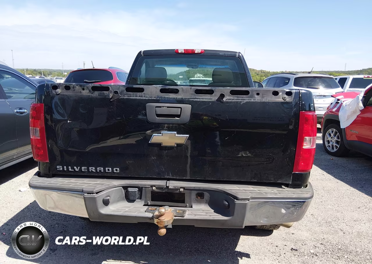 2011 Chevrolet Silverado 1500 Work Truck VIN:1GCNCPEX9BZ167595 - 16