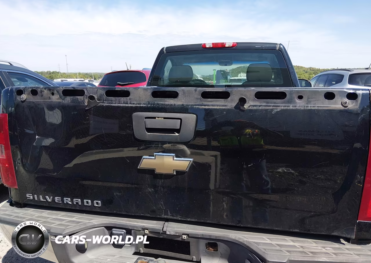 2011 Chevrolet Silverado 1500 Work Truck VIN:1GCNCPEX9BZ167595 - 6