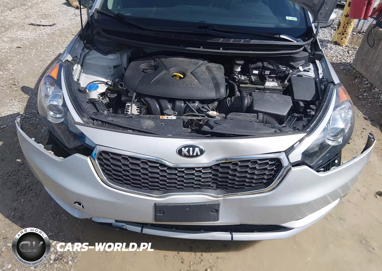 2016 Kia Forte Lx VIN:KNAFK4A65G5559746 - 10