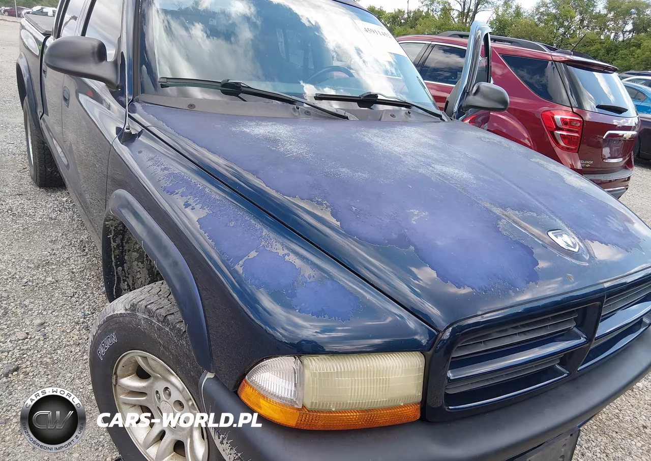 2002 Dodge Dakota Sport VIN:1B7HG38N82S646233 - 12