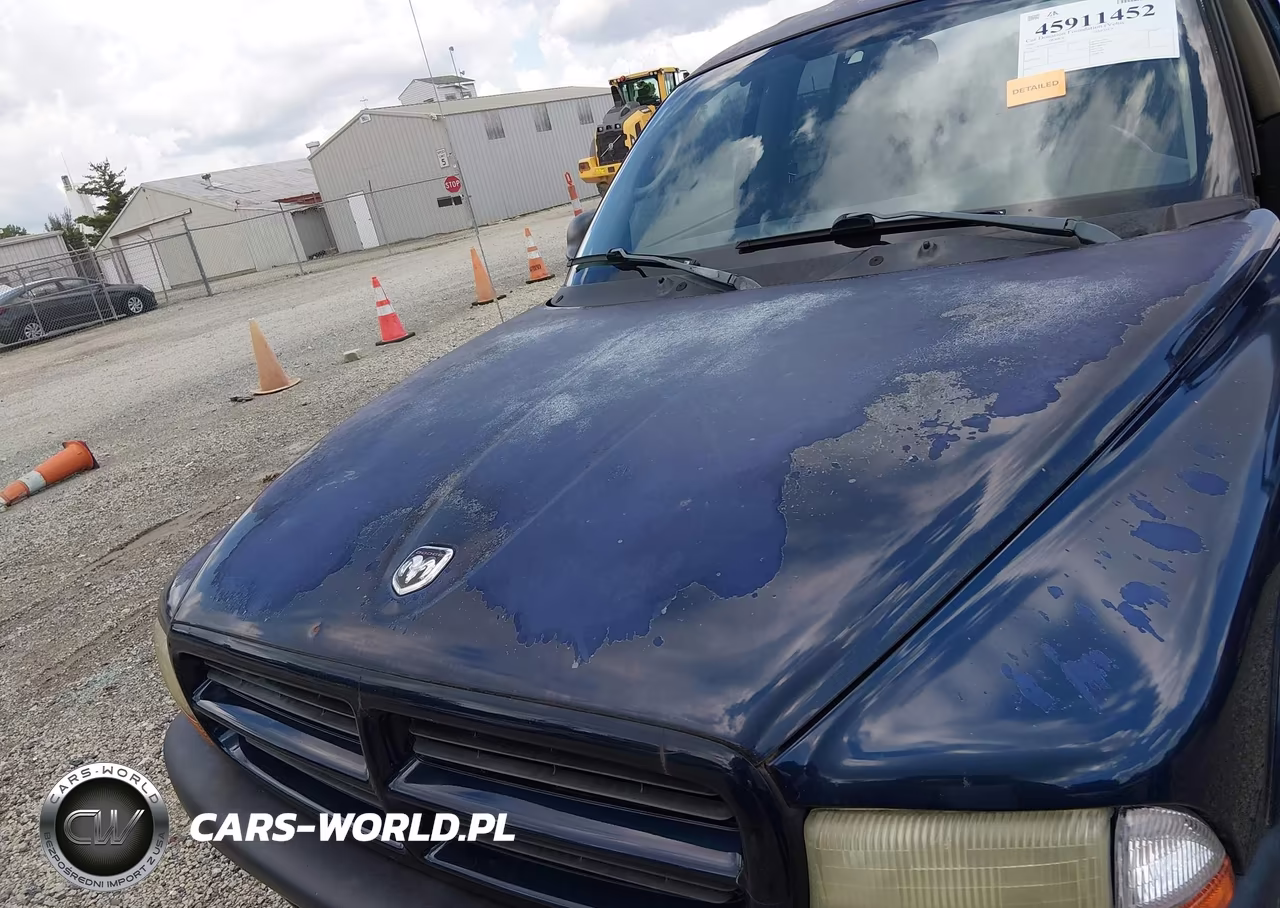 2002 Dodge Dakota Sport VIN:1B7HG38N82S646233 - 6